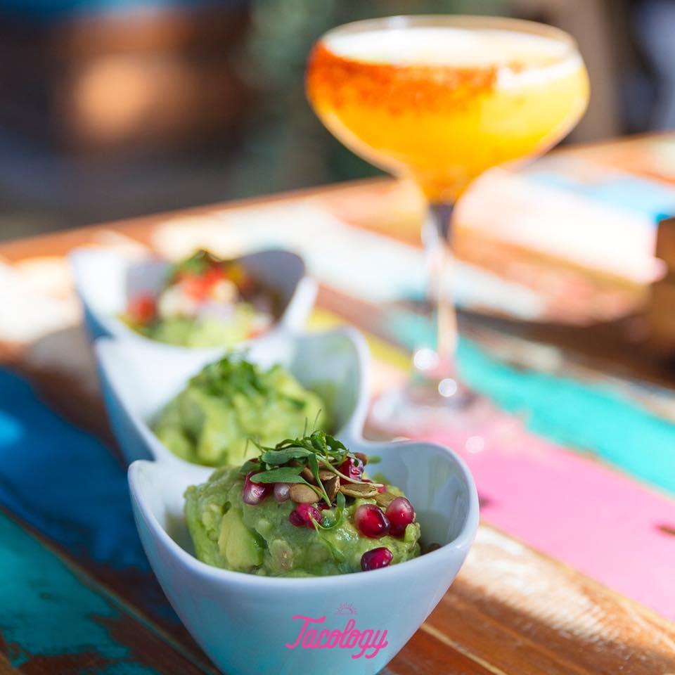 Tacology Restaurant Restaurant Brickell, Mexican Food